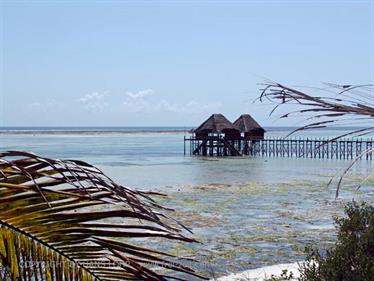 Beach walk, Zanzibar, DSC07373b